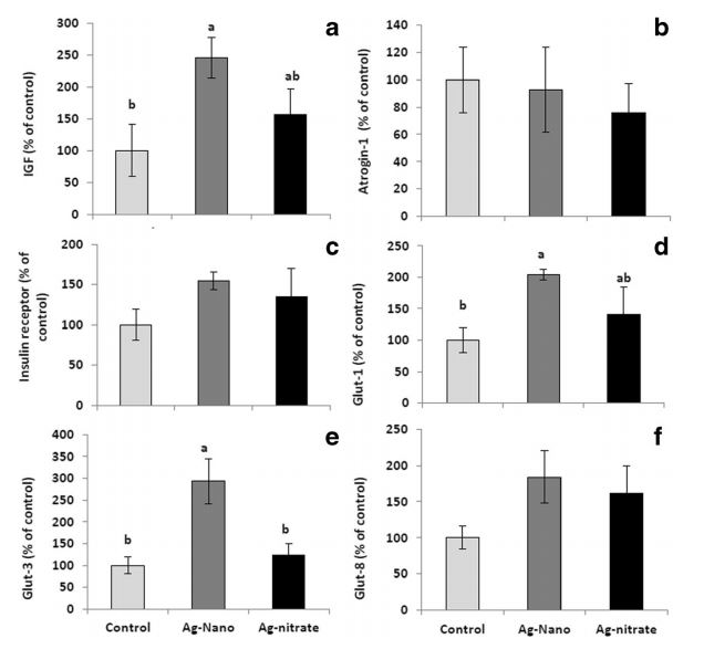 Ảnh hưởng của việc cung cấp nano bạc và Ag nitrat lên sự biểu hiện tương đối của IGF1 (a), atrogin-1 (b), thụ thể insulin (c), GLUT1