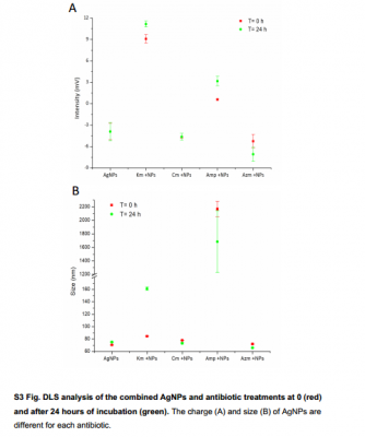 Hình S3. Phân tích DLS của các phương pháp điều trị kháng sinh và AgNP kết hợp ở 0 (màu đỏ) và sau 24 giờ ủ (màu xanh lá cây)