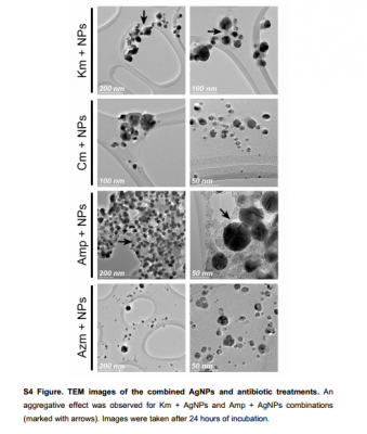 Hình S4. Hình ảnh TEM của các phương pháp điều trị kháng sinh và AgNP kết hợp