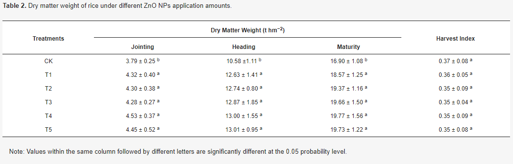 Dry matter weight of rice under different ZnO NPs application amounts.