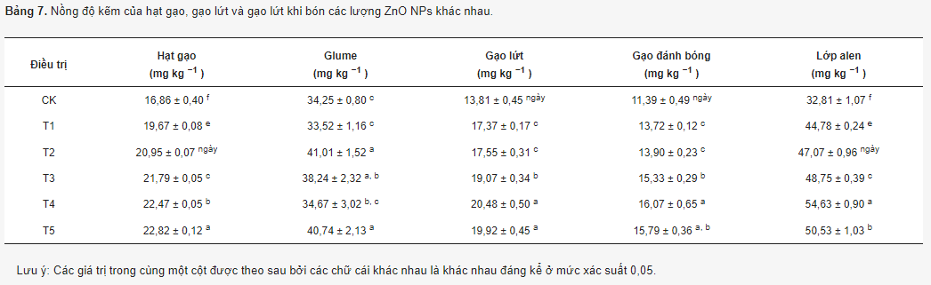 Nồng độ kẽm của hạt gạo, gạo lứt và gạo lứt khi bón các lượng ZnO NPs khác nhau