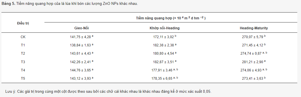 Khả năng quang hợp của lá lúa khi bón các lượng ZnO NPs khác nhau