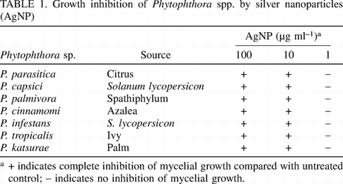 Nano bạc điều trị bệnh xì mủ trên mít, sầu riêng, cây có múi… do nấm Phytophthora parasitica và P. capsici -