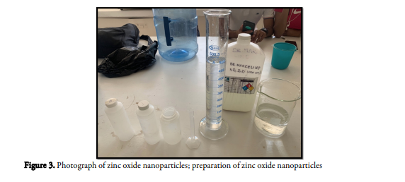 Nano zinc oxide sprayed through the leaves improves the yield of capsicum capsicum annuum.L -